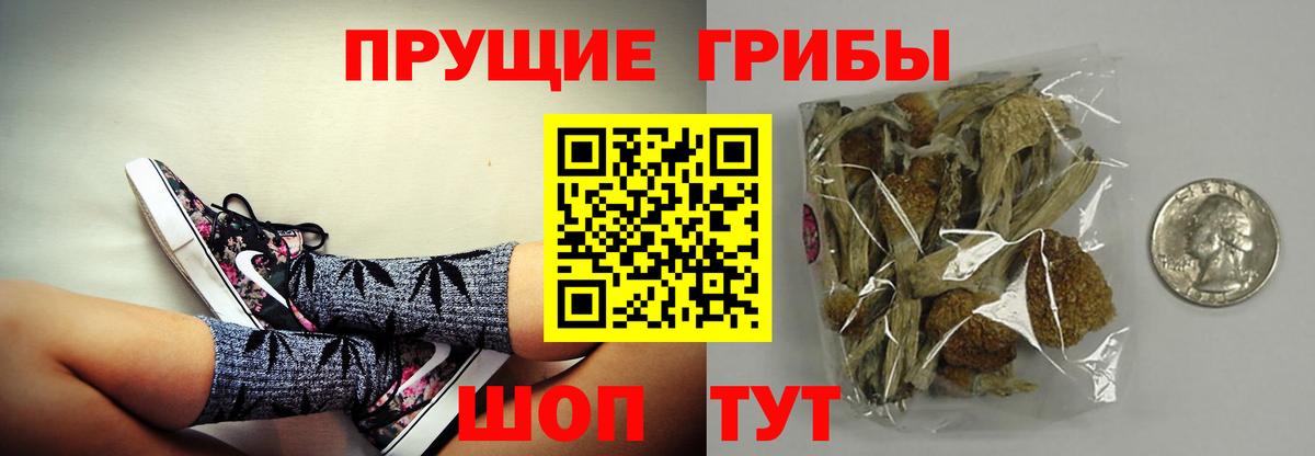 Краснознаменск  Галлюциногенные грибы прущие грибы  Галлюциногенные грибы мухоморы  Вход с VPN 